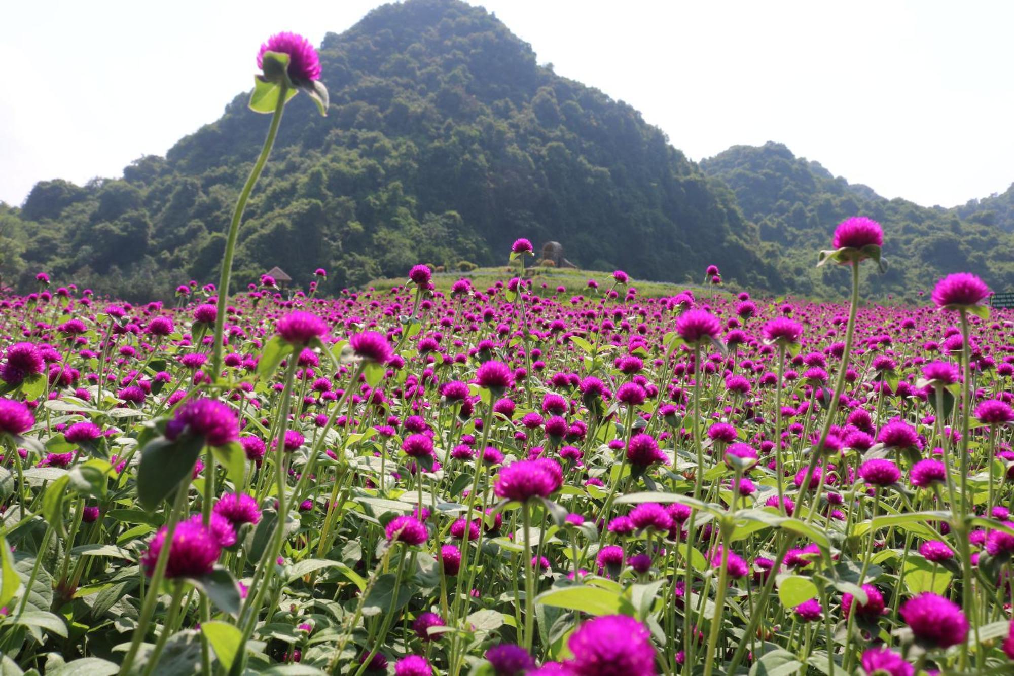 Thung Nham Resort Ninh Binh Bagian luar foto