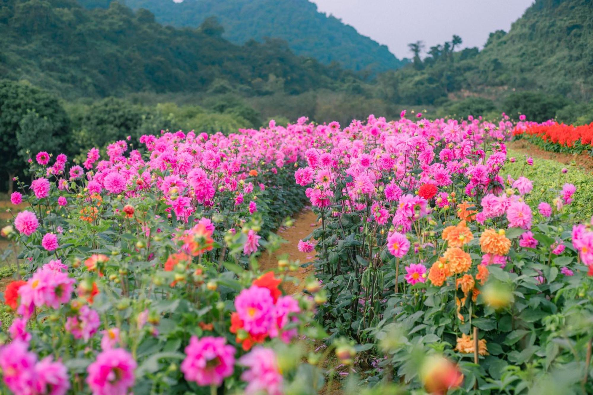 Thung Nham Resort Ninh Binh Bagian luar foto