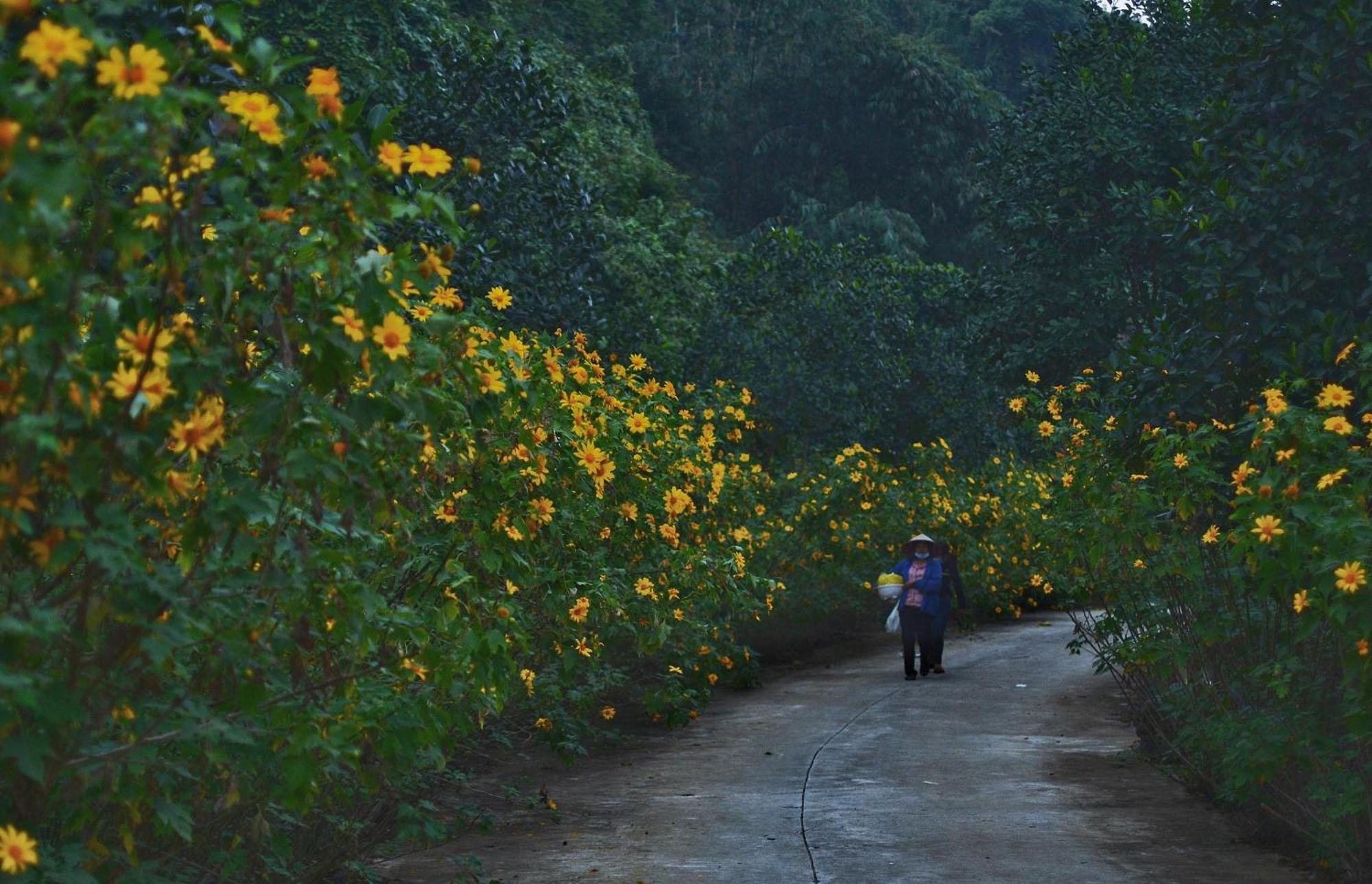 Thung Nham Resort Ninh Binh Bagian luar foto
