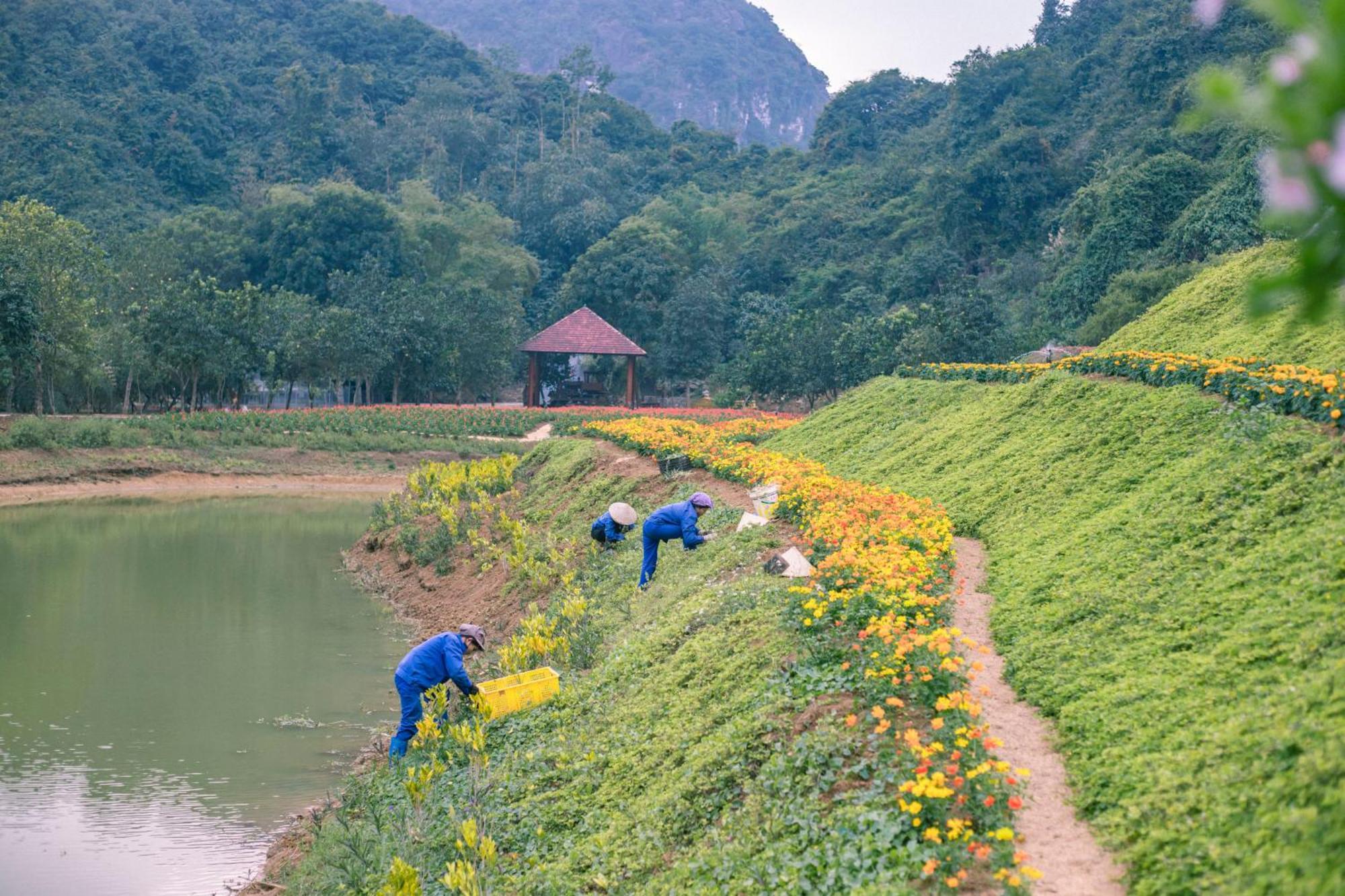 Thung Nham Resort Ninh Binh Bagian luar foto