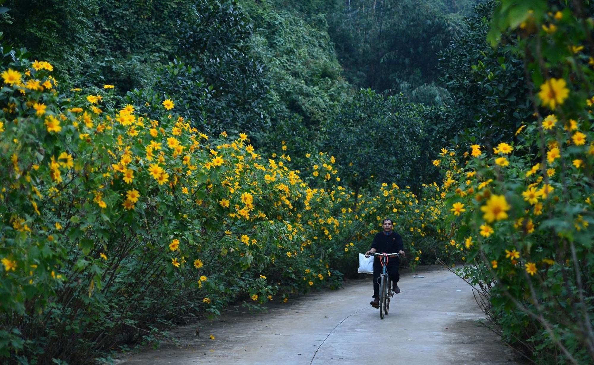 Thung Nham Resort Ninh Binh Bagian luar foto