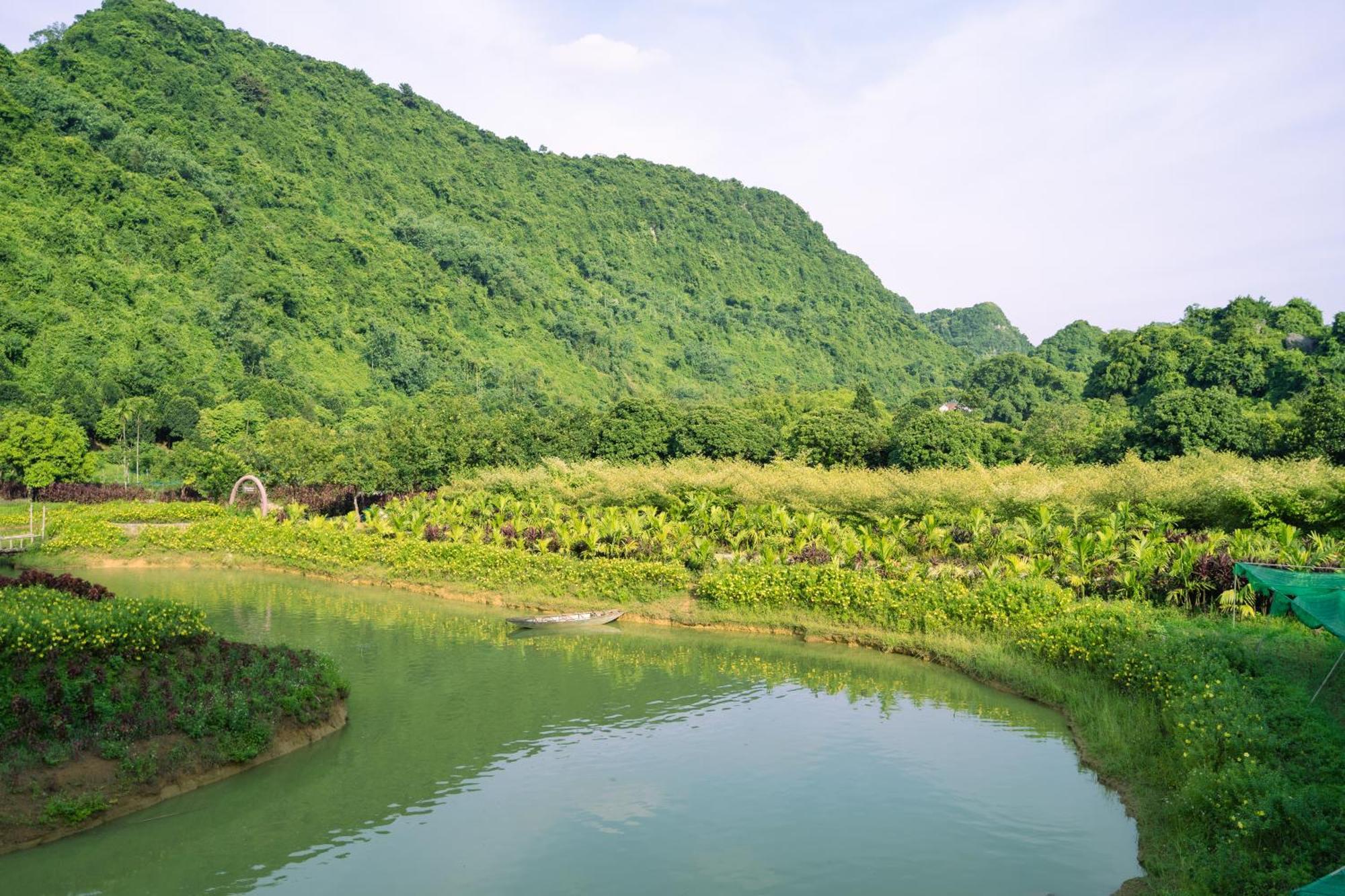 Thung Nham Resort Ninh Binh Bagian luar foto